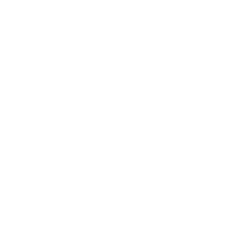 Logo Anna Mozes