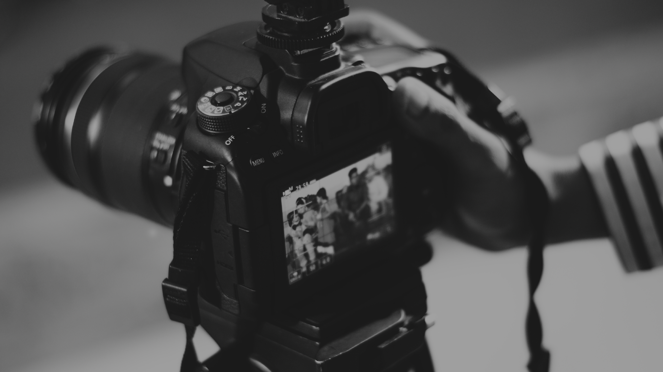 Portrait professionnel